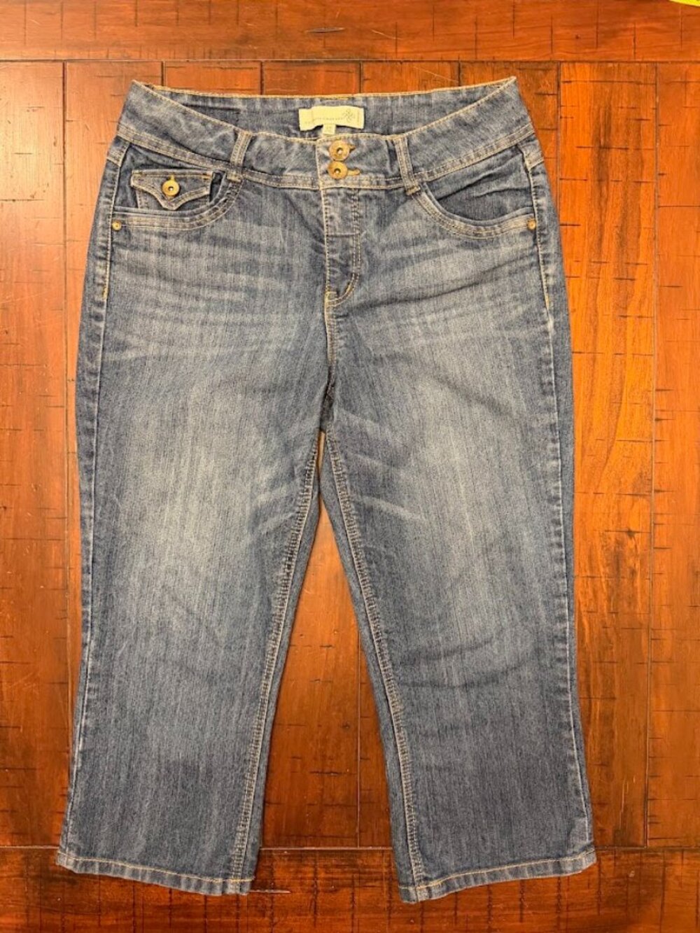 Artisan Crafted by Democracy Capri Jeans Size 10 Embroidered Fleur De Lis Y2K